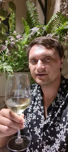 דולפין ים - Sea dolphin - ירושלים