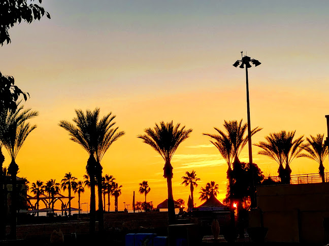 רידם סושיאל - נתניה