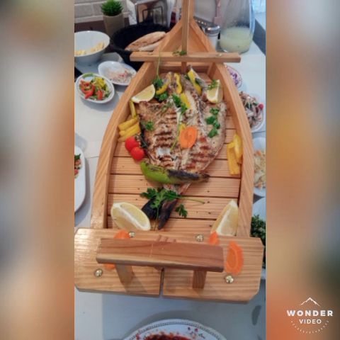 דגי האדי מיפו - טירה