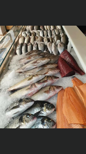 ביטמן הדייג - נתניה