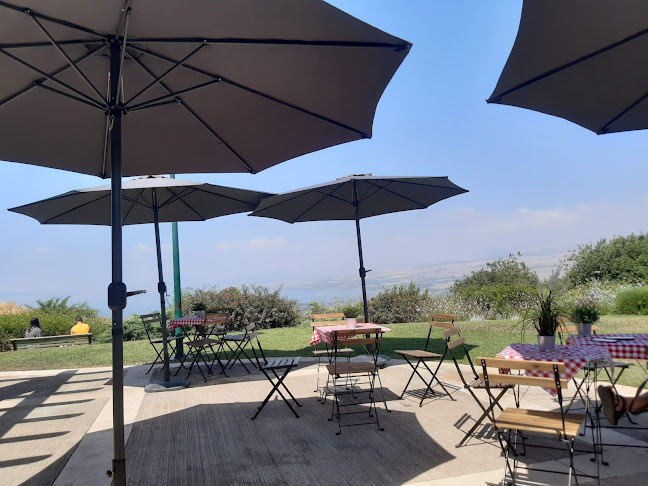 נינו עגלת קפה - מעלה גמלא