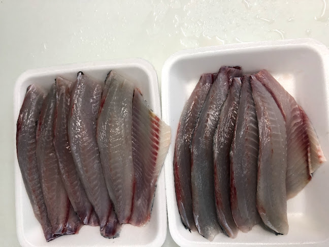 שירת הים - חנות דגים - בת ים - הסעדה