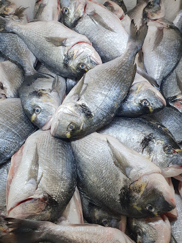 Comentarii opinii despre סופר דג צפת בע"מ