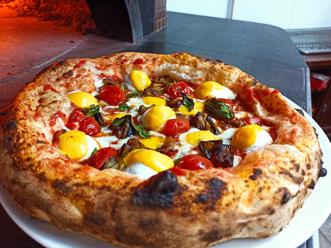 Pulcinella - קדימה צורן