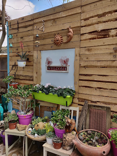 עולם החי והצומח