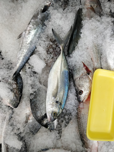 דרך שלמה 17, תל אביב-יפו