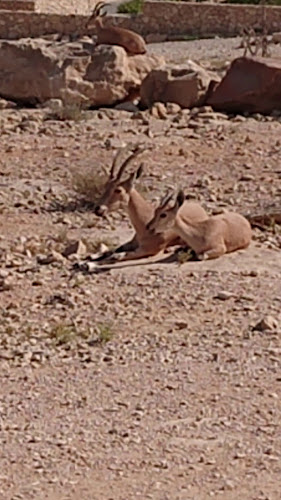 מסעדת צוקים - הסעדה