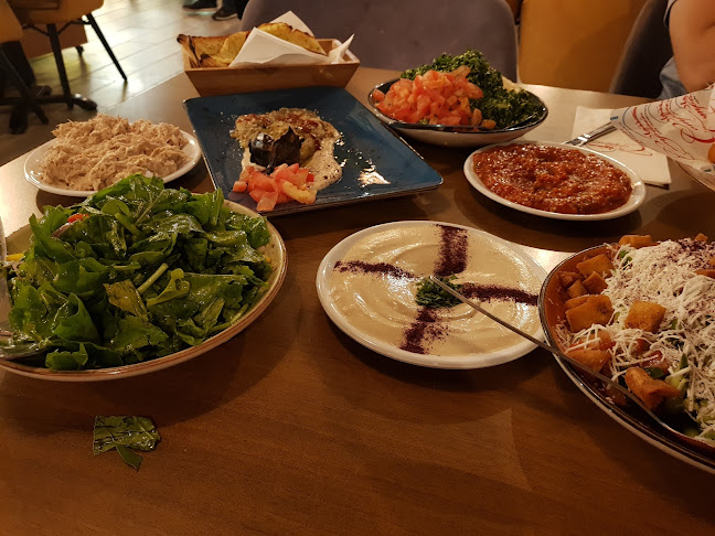 קונטואר - עכו