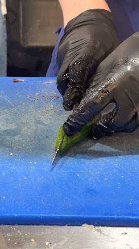 SHERRY HERRING - הסעדה