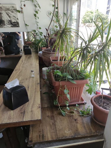 סלומון 7, תל אביב-יפו