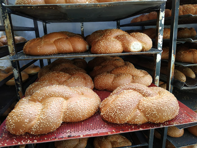 ראשית דגן פסגת זאב - ירושלים