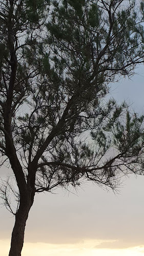 רד בורגר בר Red burger bar - נתניה