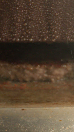 Opinii despre Moses Shop רעננה în רעננה - הסעדה