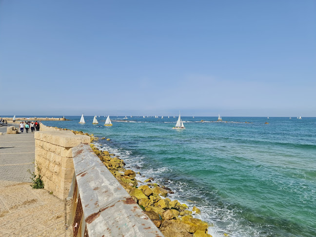 יהושע חנקין, חולון