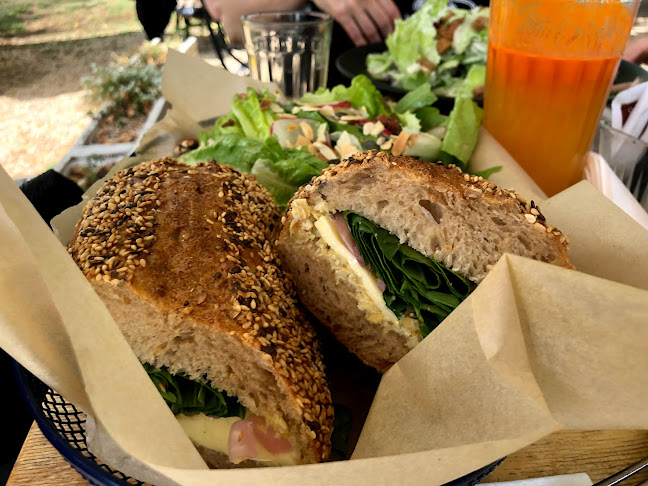 Comentarii opinii despre מסעדת גרציא