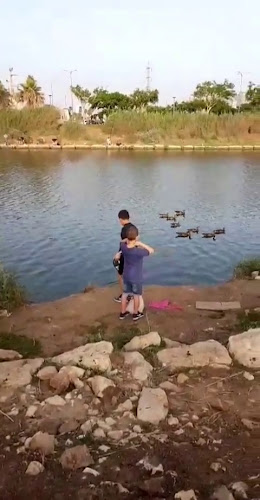 aroma espresso bar - תל אביב-יפו