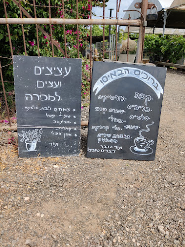 קפה בפטל - עגלת קפה וגלידה במרכז