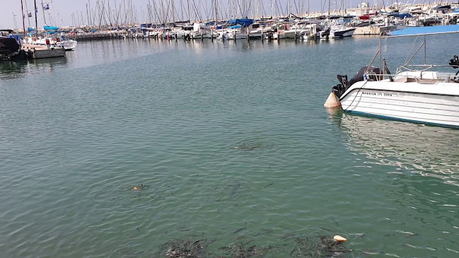 Opinii despre זיארה în אשקלון - הסעדה