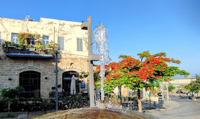 Comentarii opinii despre St. George