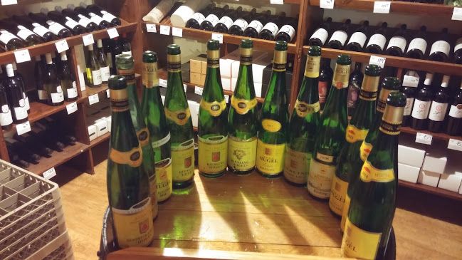 Opinii despre דרך היין Wine Route în רמת השרון - הסעדה