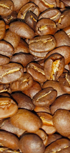 צוק קפה - בית קליה לקפה ייחודי