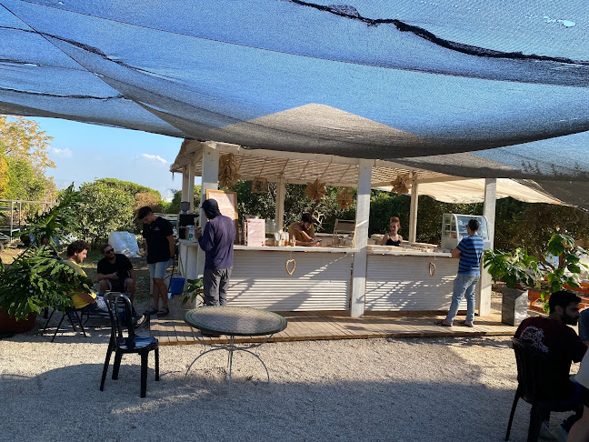 קפה במשתלה - כפר ידידיה