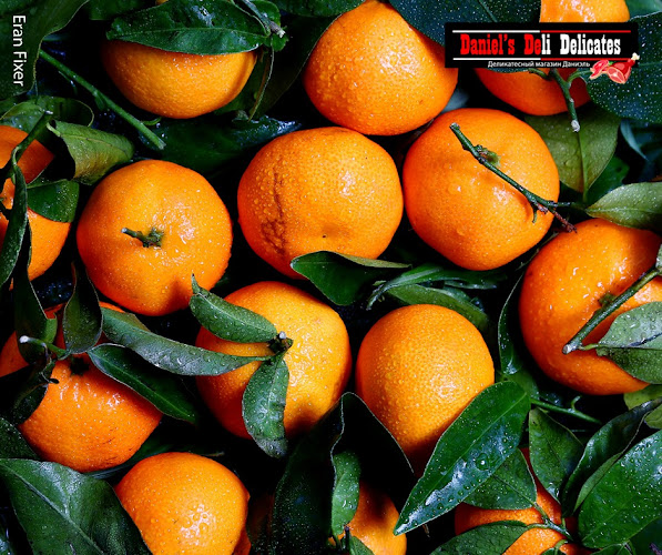 אילות 23א, אילת