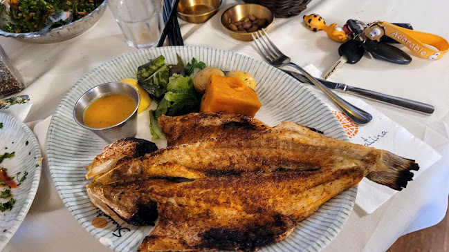 מסעדת שוואטינא - בת גלים - הסעדה