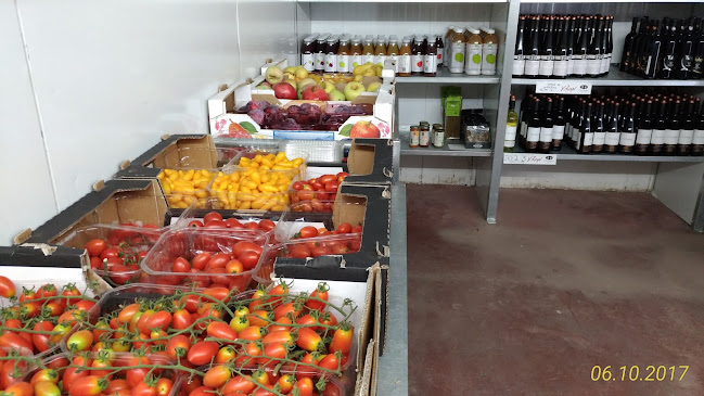 החורש 49, היוגב, 1923200