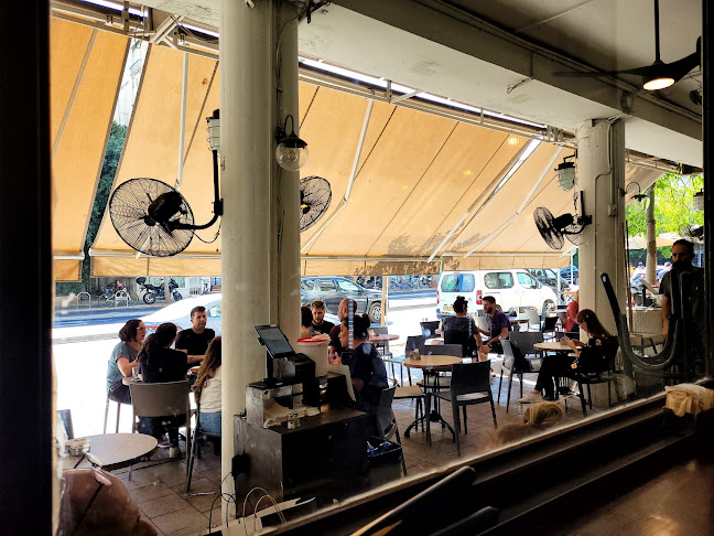 Comentarii opinii despre התחתית