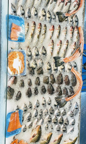 גבאי דגים ודייגים - הסעדה