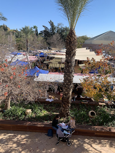 לשוּקריה - מודיעין מכבים רעות