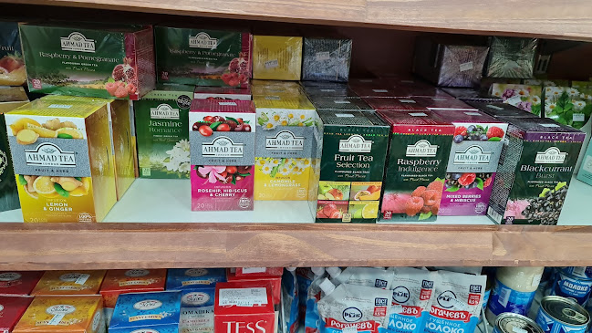 קשטן דלי בע"מ