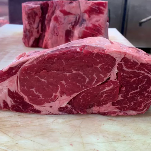 אביב בקר - נתניה