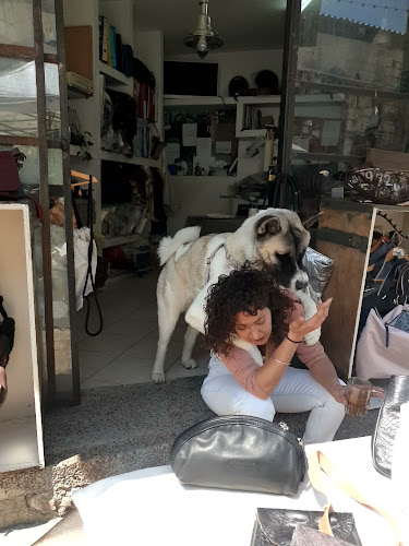 Opinii despre השוק היווני în תל אביב-יפו - הסעדה