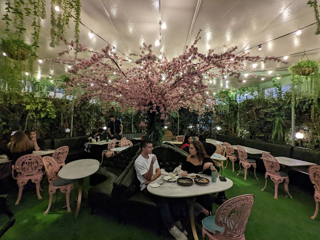 Comentarii opinii despre פנטסטיק