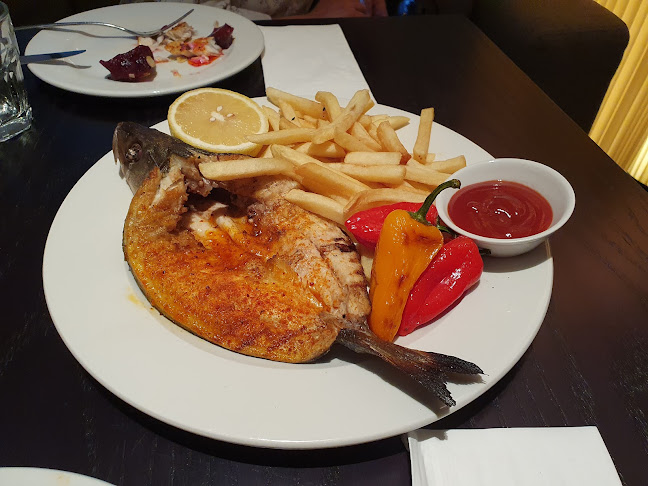 Comentarii opinii despre הפי פיש