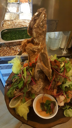 מסעדת דארנא עכו - עכו