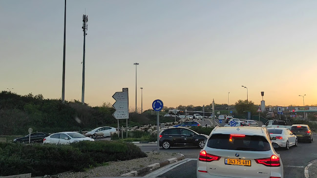 Opinii despre אבו רג'א în נצרת - הסעדה