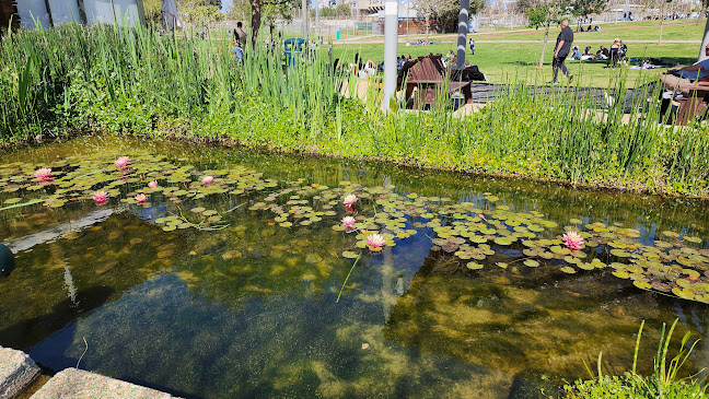 קפה גן סיפור - הרצליה