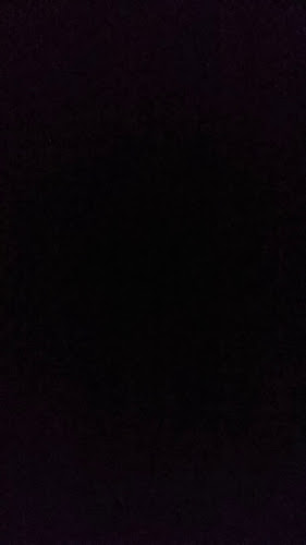 שירי'ס בורגר