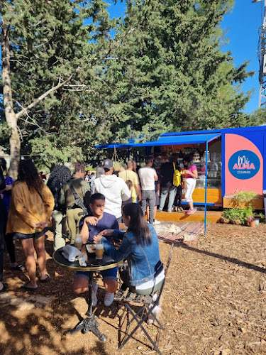 אורן, יובלים