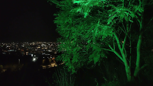 Opinii despre Frangelico în נוף הגליל - הסעדה