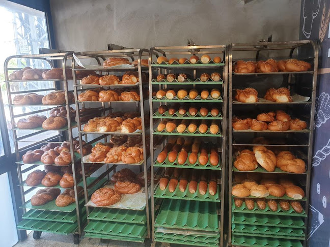 קרן היסוד 66, קריית ביאליק