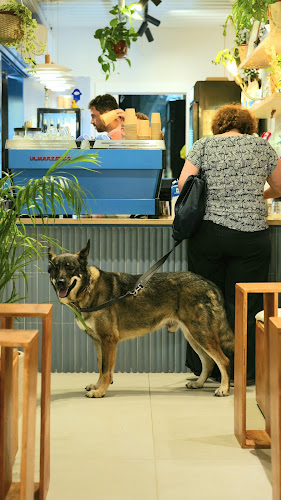 קפה בלו café blue