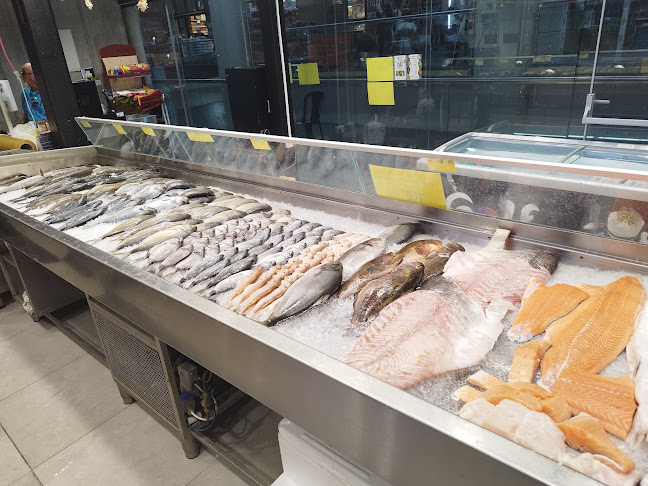 MY FISH MARKET - הסעדה