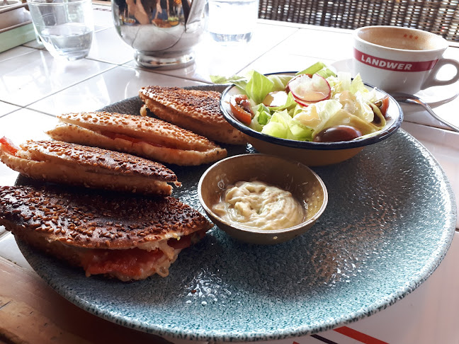 Comentarii opinii despre לנדוור