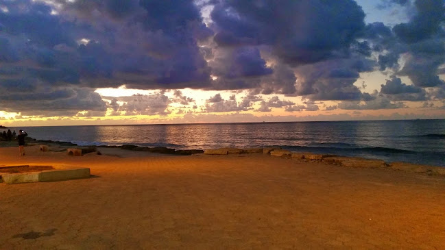 מסעדג - חיפה