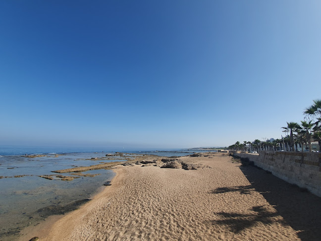 קונטואר - הסעדה