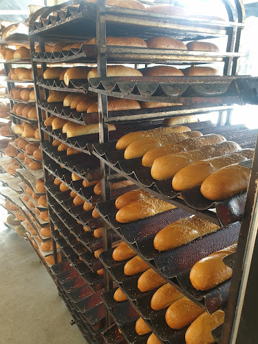 Opinii despre מן הארץ în רמלה - הסעדה